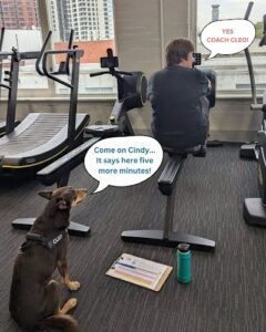 Pilates studio in Glen Iris Victoria